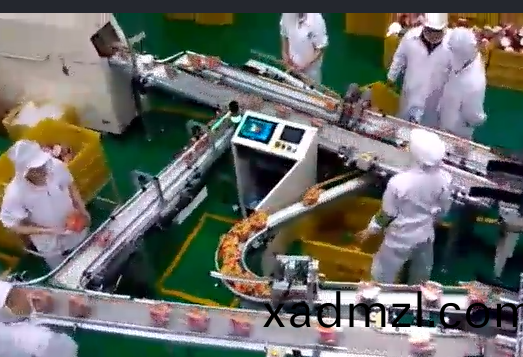 输送线